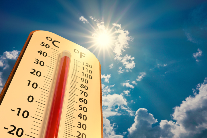 Ondas de calor – como ela afeta a saúde humana, de plantas e animais