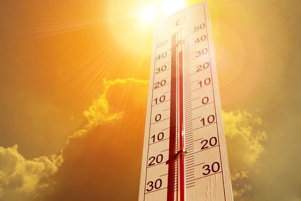 Ondas de calor – como ela afeta a saúde humana, de plantas e animais